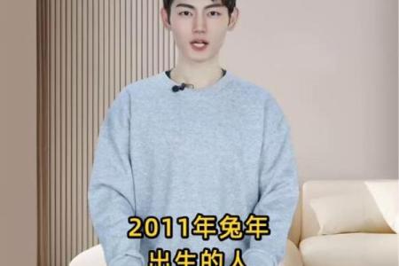 辛时出生的属兔男孩怎么取名字姓名