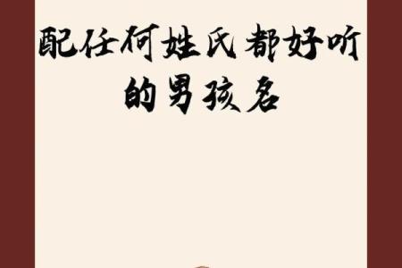 2019年3月17号未时出生的男孩应该起什么样的名字姓名