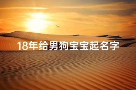晚上九点出生的属狗男孩取什么名，适合什么字姓名