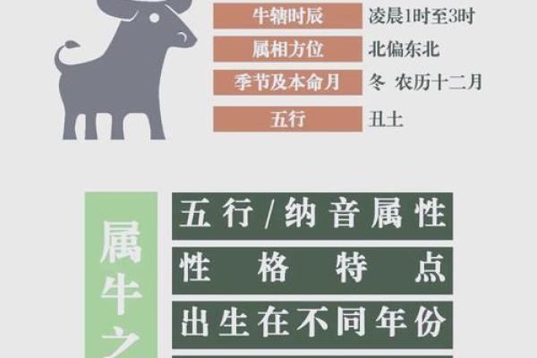 下午4点出生的属牛男孩如何取名好姓名
