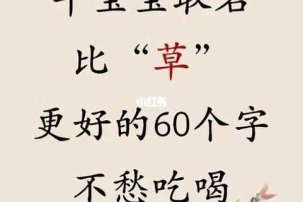 下午4点出生的属牛男孩如何取名好姓名