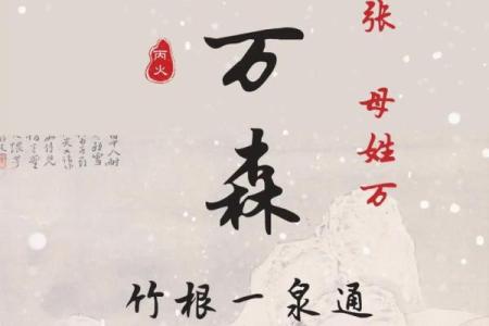 姓万的名人-姓名学-华易算命网姓名