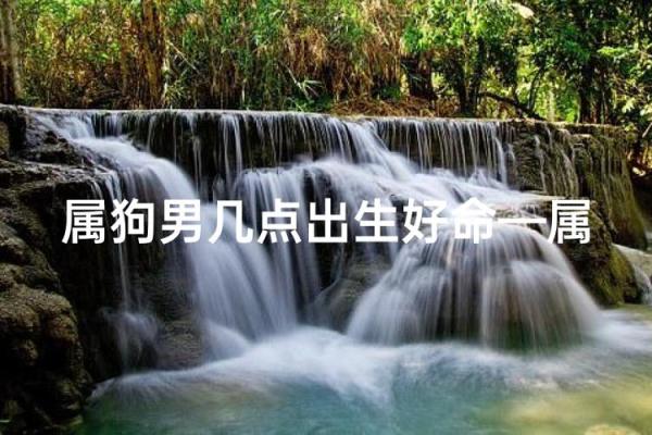 适合给属狗丑时出生的男孩取的起名，宜用字姓名
