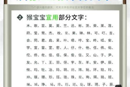 晚上出生的属猴男孩起什么，应用什么字姓名