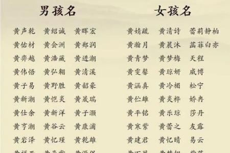 中午12点出生的属蛇男孩如何取名，宜用什么字姓名