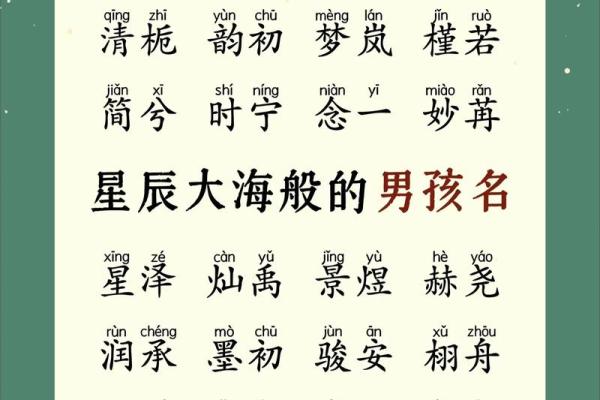 2019年3月17号巳时出生的男孩应该起什么样的名字姓名