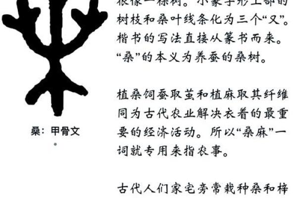 姓桑的名人-姓名学-华易算命网姓名