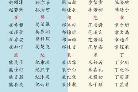 2019年3月17号巳时出生的男孩应该起什么样的名字姓名