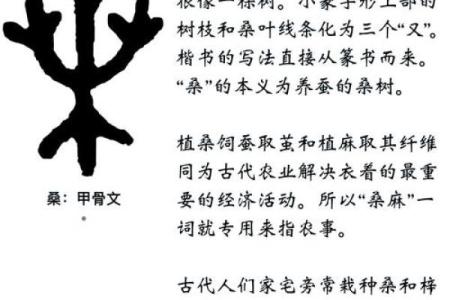 姓桑的名人-姓名学-华易算命网姓名