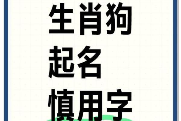 六月份出生的属狗男孩取什么名字好?姓名 六月份出生的属狗男孩取什么名字好?姓名