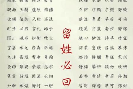 2019年3月30号申时出生的男孩起名方法姓名