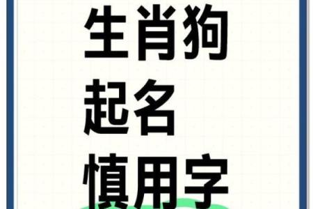 六月份出生的属狗男孩取什么名字好？姓名