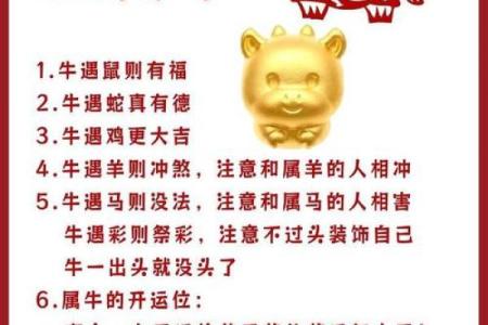 属牛未时出生的男孩宜取什么名姓名