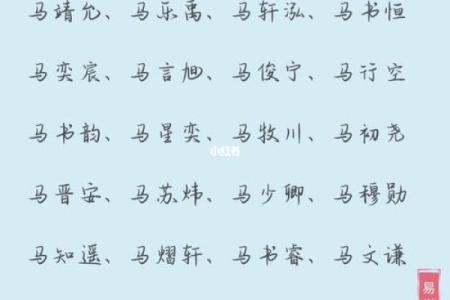 五月份出生的属马男孩该取什么名字姓名