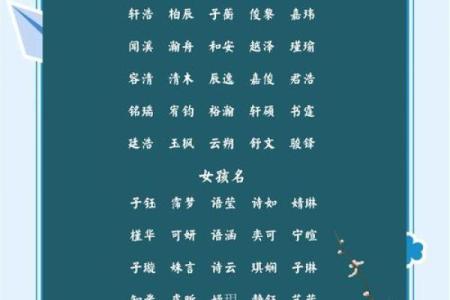 推荐给属兔未时出生的男孩起的名字姓名