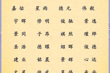 半夜出生的属鼠男孩起名用什么字最好姓名