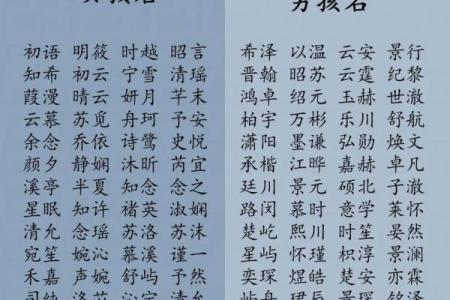 2019年5月2号卯时出生的男孩要怎么起名字姓名