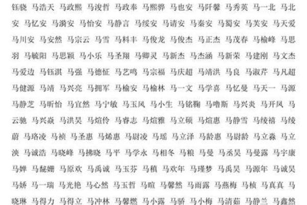 2月份出生的属马男孩起什么名字好姓名 2月份出生的属马男孩起什么名字好姓名
