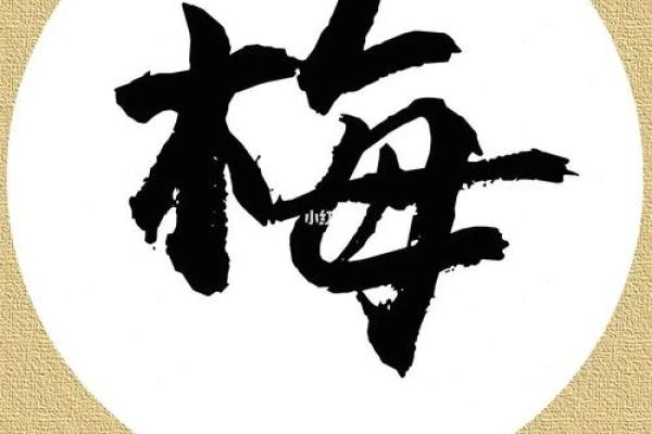 梅姓男孩名字大全-梅姓男孩起名字大全-梅姓名字大全姓名 梅姓男孩名字大全-梅姓男孩起名字大全-梅姓名字大全姓名