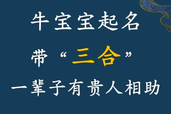 上午10点出生的属牛男孩应该用什么字取名字姓名 上午10点出生的属牛男孩应该用什么字取名字姓名