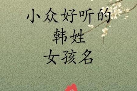 韩姓女孩名字大全-韩姓女孩起名字大全-韩姓名字大全姓名