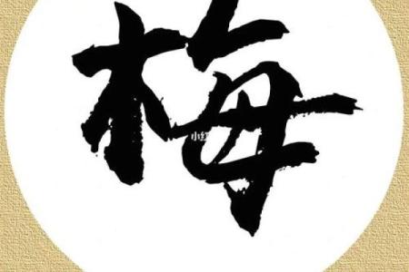 梅姓男孩名字大全-梅姓男孩起名字大全-梅姓名字大全姓名