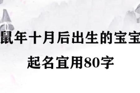 早上8点出生的属鼠男孩起名适合用什么字姓名