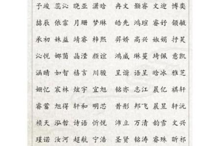 2019年4月17号子时出生的男孩应该起什么样的名字姓名