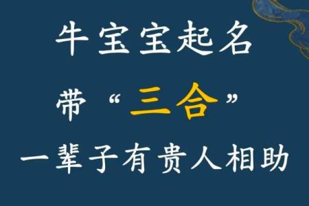 上午10点出生的属牛男孩应该用什么字取名字姓名