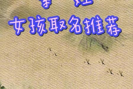 2021年7月31日出生女孩文雅温婉的名字姓名