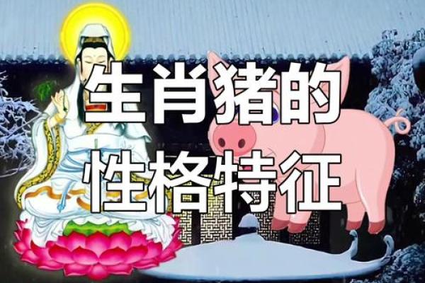 属猪子时出生的男孩如何起名，适合什么字姓名