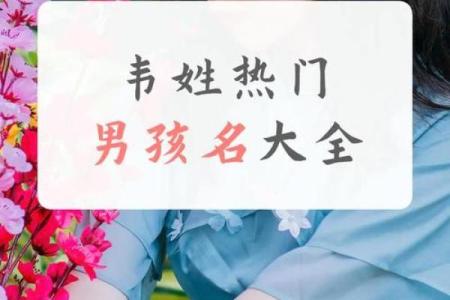 2019年6月9号寅时出生的男孩如何起名姓名