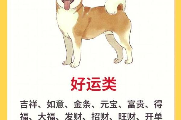 上午出生的属狗男孩如何取名,适合什么字姓名 上午出生的属狗男孩如何取名,适合什么字姓名