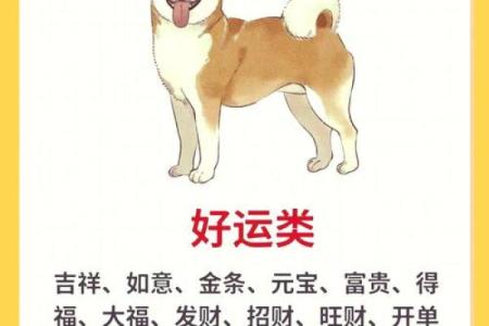 上午出生的属狗男孩如何取名，适合什么字姓名