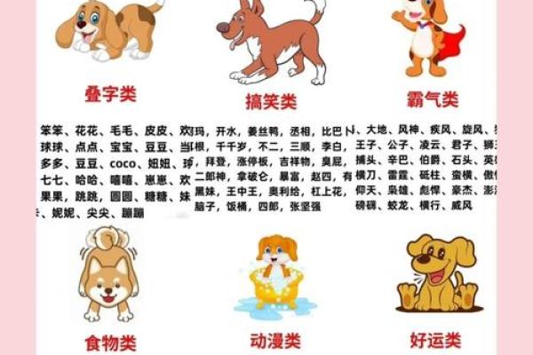 2018年男狗宝宝取什么名字最好?取名常用方法有哪些?-华易网姓名 2018年男狗宝宝取什么名字最好?取名常用方法有哪些?-华易网姓名