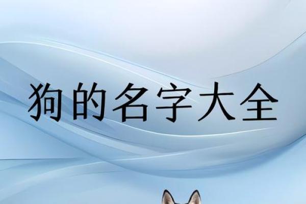 2018年男狗宝宝取什么名字最好?取名常用方法有哪些?-华易网姓名 2018年男狗宝宝取什么名字最好?取名常用方法有哪些?-华易网姓名