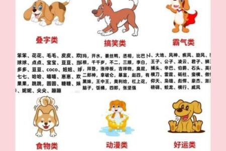 2018年男狗宝宝取什么名字最好？取名常用方法有哪些？-华易网姓名