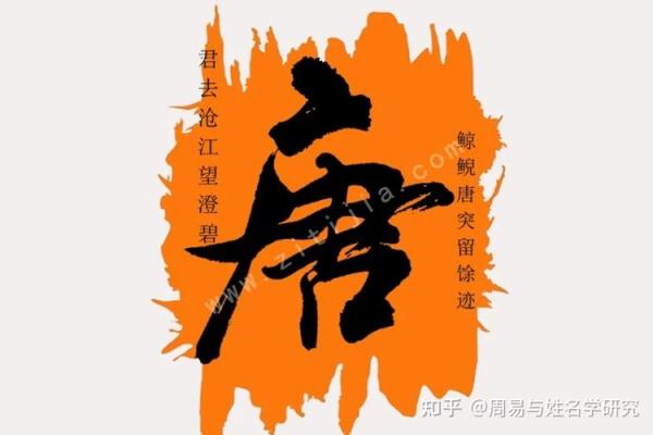 唐姓女孩名字大全-唐姓女孩起名字大全-唐姓名字大全姓名 唐姓女孩名字大全-唐姓女孩起名字大全-唐姓名字大全姓名