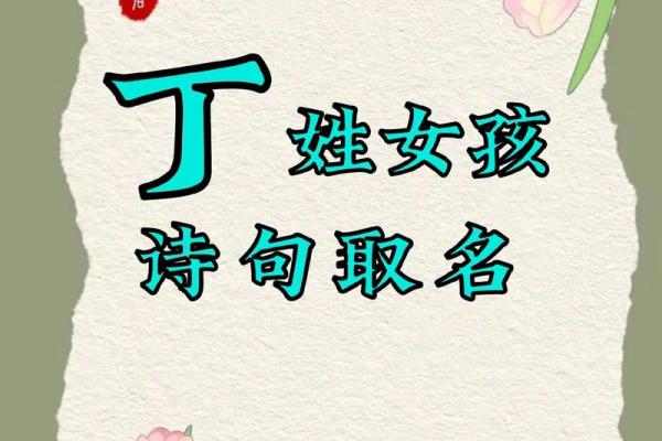 丁姓女孩名字大全-丁姓女孩起名字大全-丁姓名字大全姓名