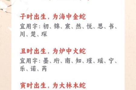 晚上1点出生的属蛇男孩如何起名，宜用什么字姓名