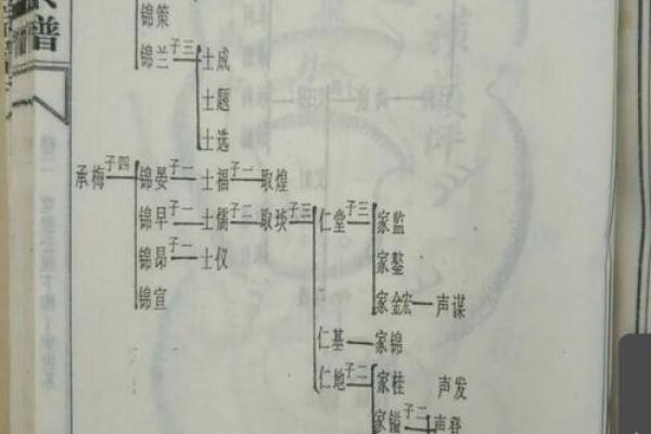 罗姓姓氏的家谱记载和宗祠对联-姓名学-华易网姓名