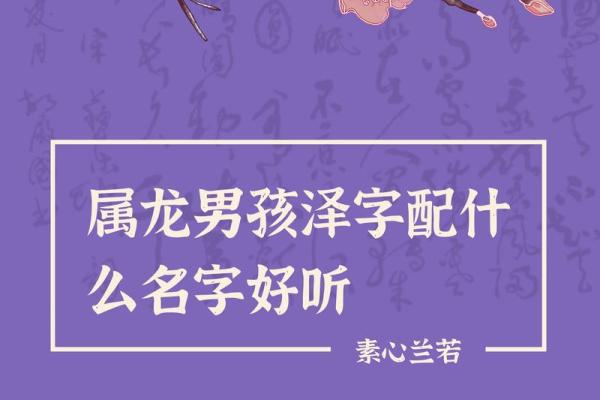 5月份出生的属龙男孩适合起什么名字姓名