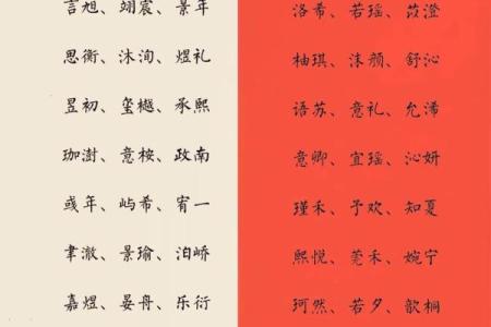 2019年3月19号辛时出生的男孩起名时要注意什么姓名