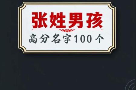 张姓男孩名字大全-张姓男孩起名字大全-张姓名字大全姓名