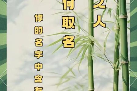 中午出生的属鼠男孩应该如何取名姓名