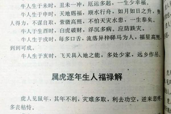 晚上12点出生的属虎男孩起什么名,宜用什么字姓名 晚上12点出生的属虎男孩起什么名,宜用什么字姓名