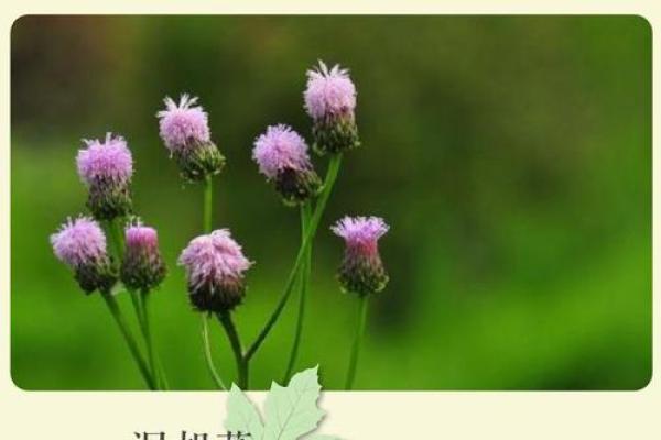 伍姓男孩名字大全-伍姓男孩起名字大全-伍姓名字大全姓名 伍姓男孩名字大全-伍姓男孩起名字大全-伍姓名字大全姓名