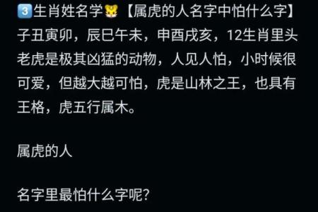 上午11点出生的属虎男孩起什么名，用什么字姓名