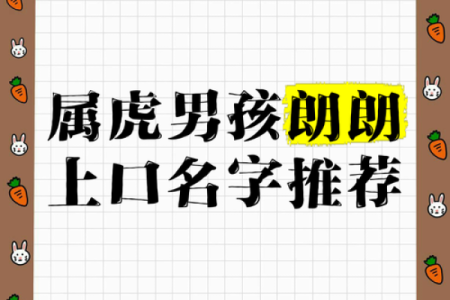 中午12点出生的属虎男孩如何起名，宜用什么字姓名