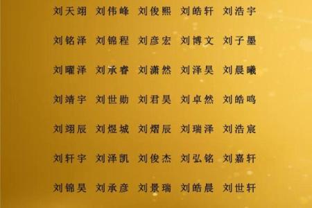 中午12点出生的属羊男孩起什么名，适合什么字姓名